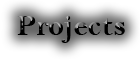 Project Page